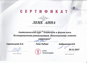 Доп.сертификат9